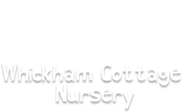 Whickham Cottage Nursery