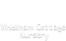 Whickham Cottage Nursery
